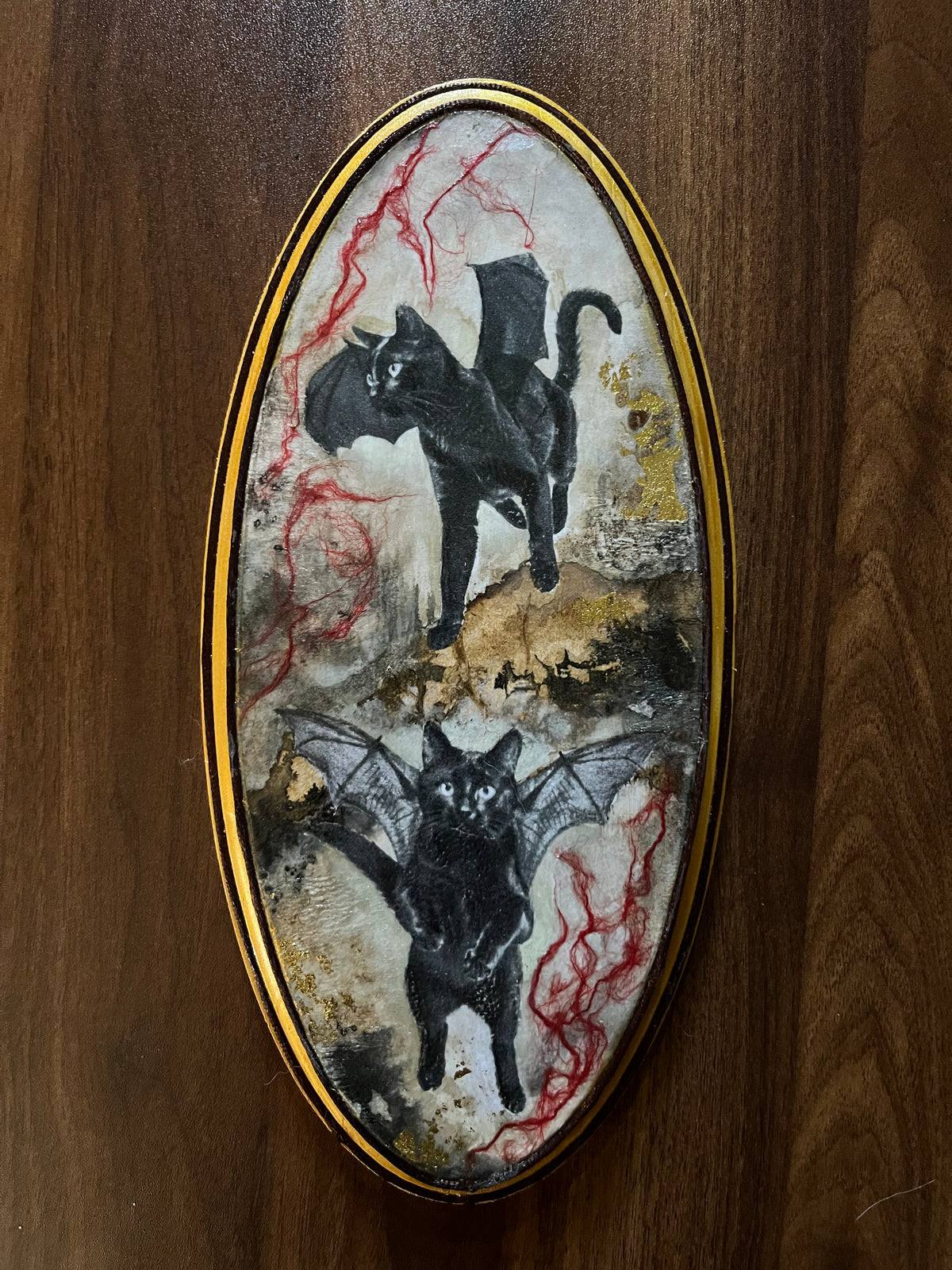 Gatos alados I