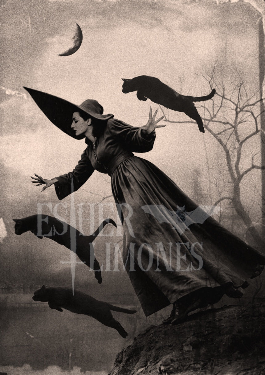 BRUJAS 31